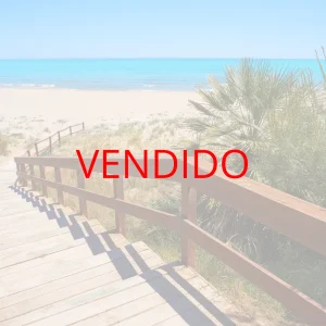 VENDIDO_ALCOGESTIÓN_web